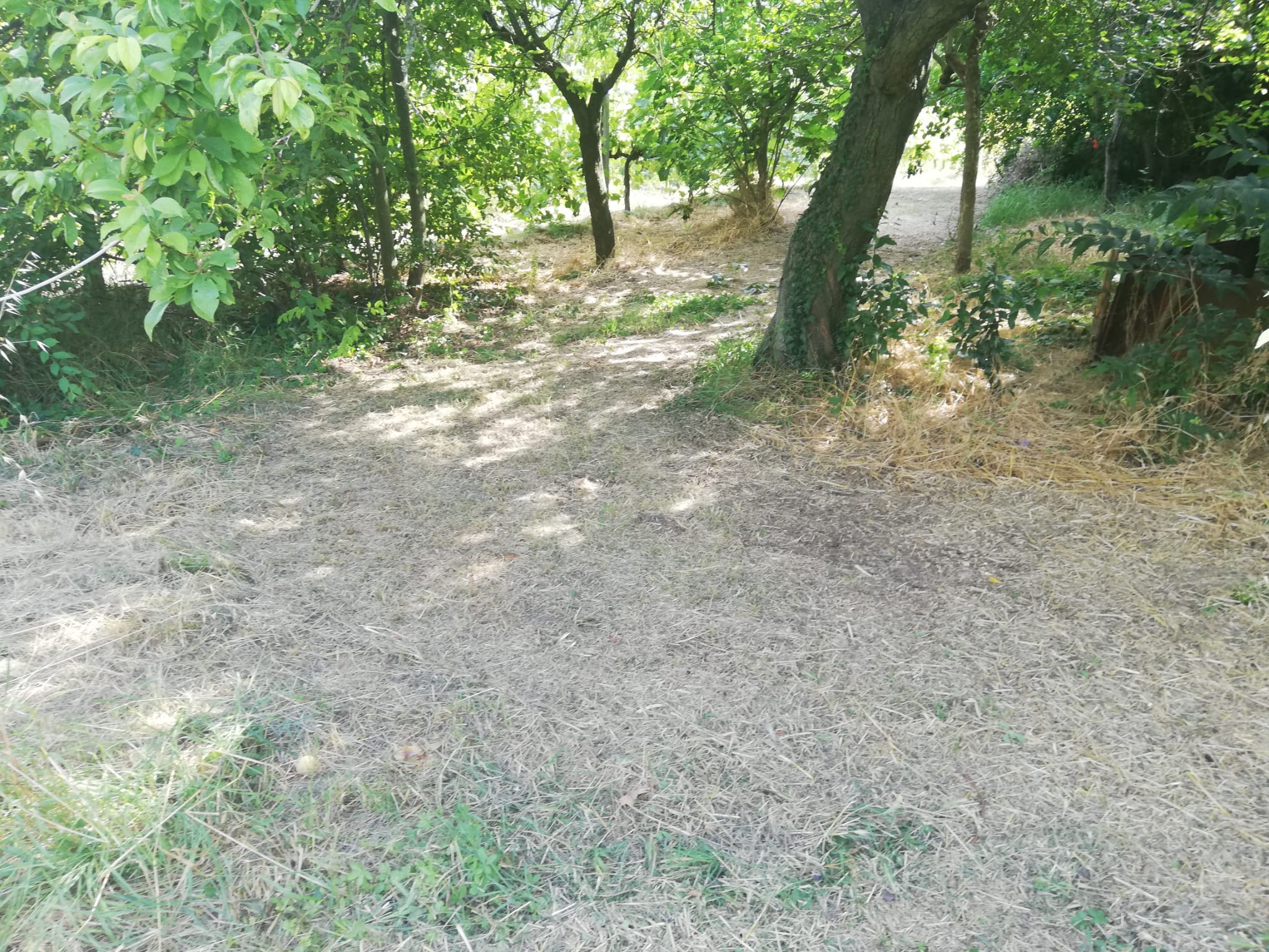 La Dimora Immobiliare